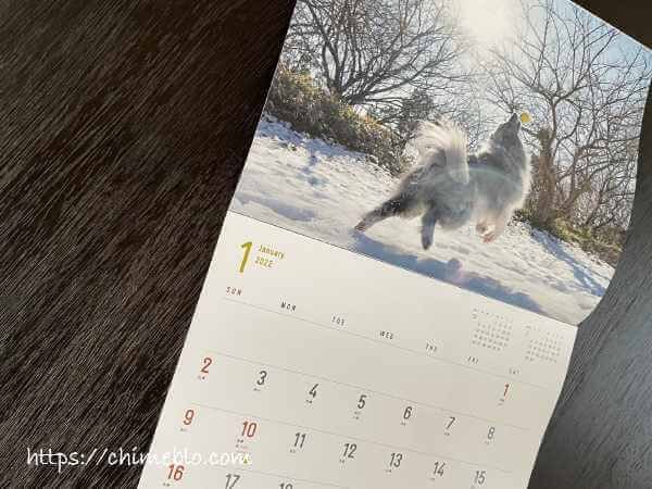 2022年1月号付録　「犬と自然」カレンダー