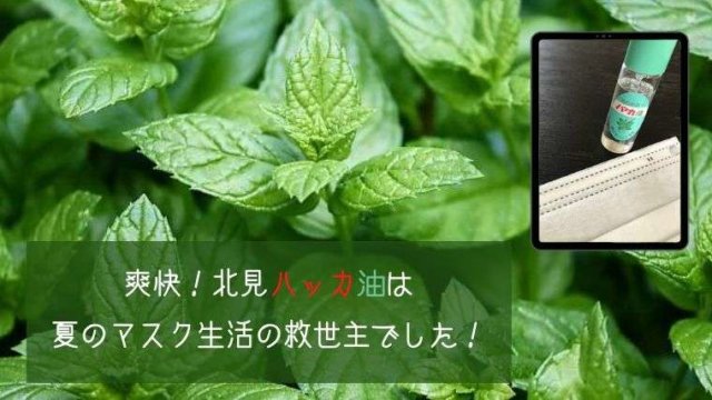 爽快!北見ハッカ油は夏のマスク生活の救世主でした!